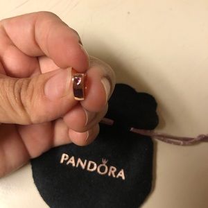 Pandora charm